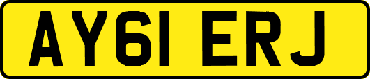 AY61ERJ