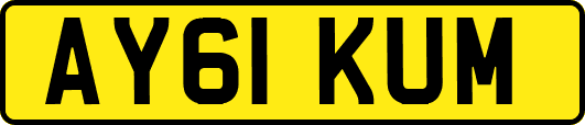 AY61KUM