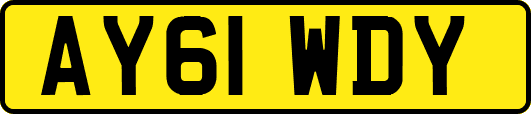 AY61WDY