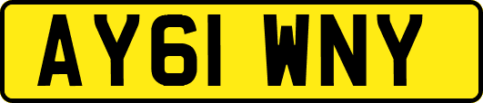 AY61WNY