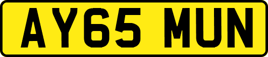 AY65MUN