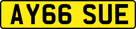 AY66SUE