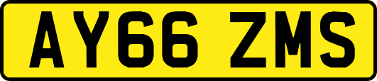 AY66ZMS