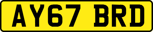 AY67BRD