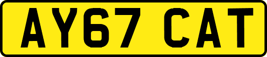 AY67CAT