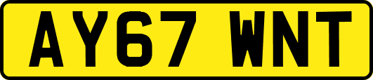 AY67WNT