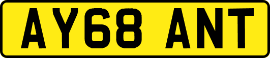 AY68ANT
