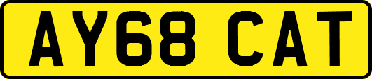 AY68CAT