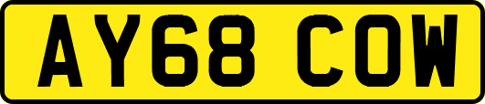 AY68COW
