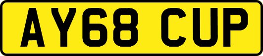 AY68CUP