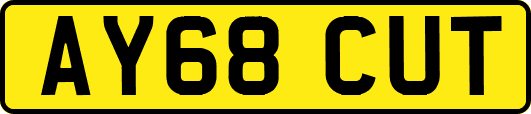 AY68CUT