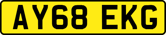 AY68EKG