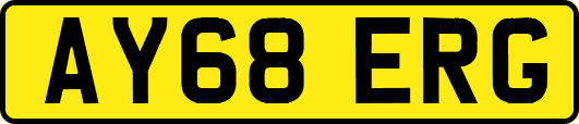 AY68ERG