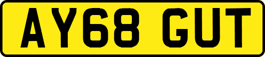 AY68GUT