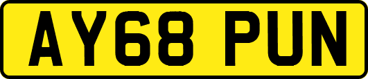 AY68PUN