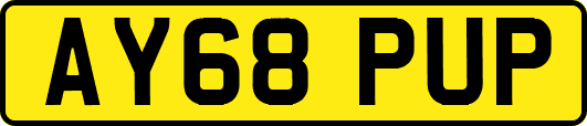 AY68PUP