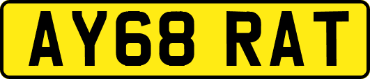 AY68RAT