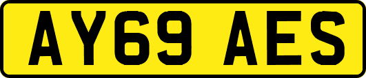 AY69AES
