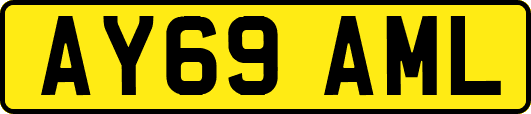 AY69AML