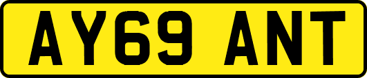 AY69ANT