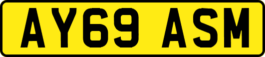 AY69ASM