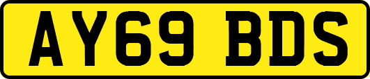 AY69BDS