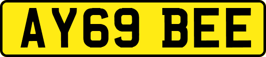 AY69BEE