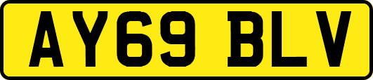 AY69BLV