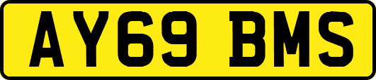 AY69BMS