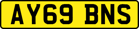 AY69BNS