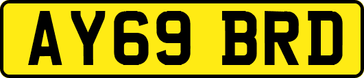 AY69BRD