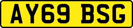 AY69BSG