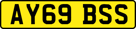 AY69BSS