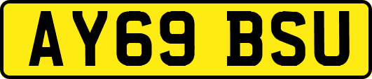 AY69BSU