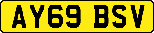 AY69BSV