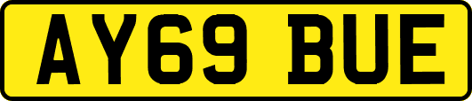 AY69BUE