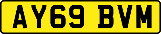AY69BVM