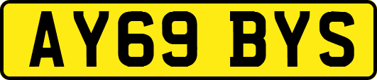 AY69BYS