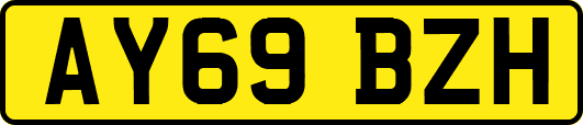 AY69BZH