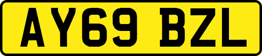 AY69BZL