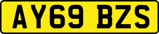 AY69BZS