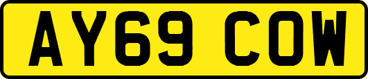 AY69COW
