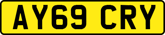AY69CRY