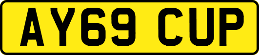 AY69CUP