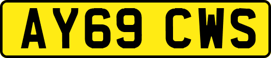 AY69CWS