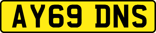 AY69DNS