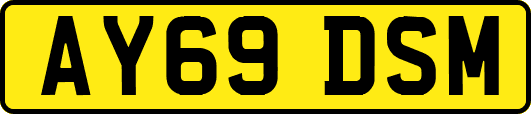AY69DSM