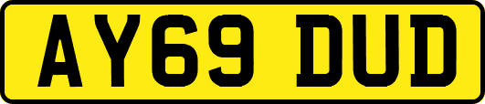 AY69DUD