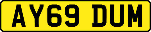 AY69DUM