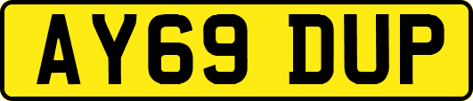 AY69DUP